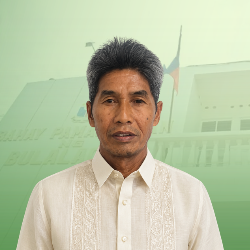 HON. ACERON U. CALINOG JR